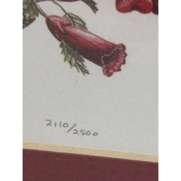 Limited Edition Hummingbird & Flower Print By E. Albright Framed Artwork 2110/25 - Picture 6 of 7